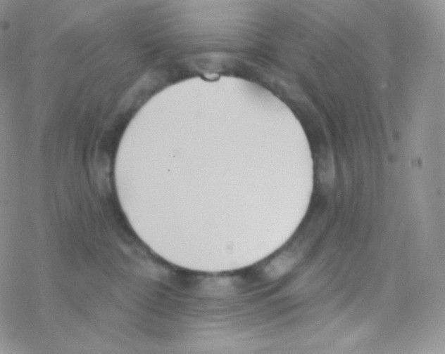 X0000077370332200611171955