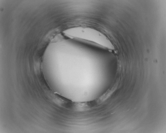 X0000077370333200611171955