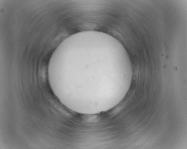 X0000077370334200611171955