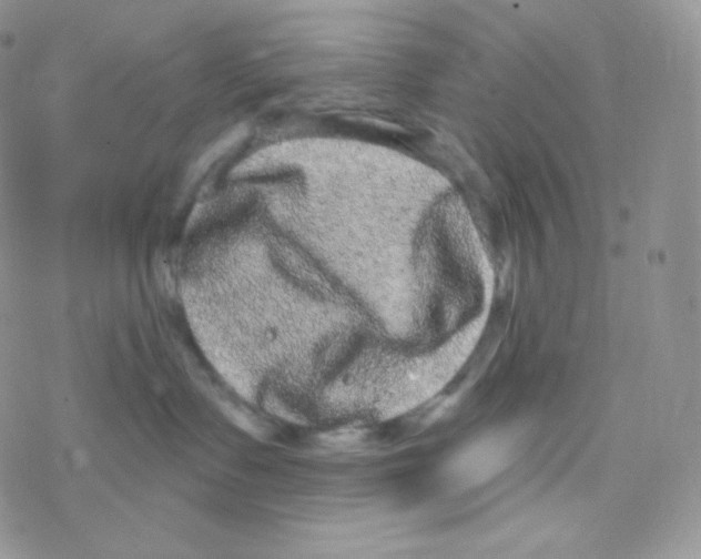 X0000077370335200611171955