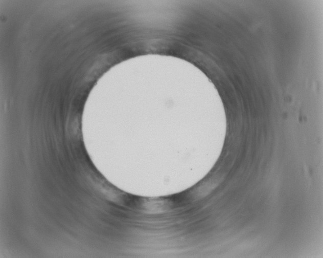 X0000077370336200611171955