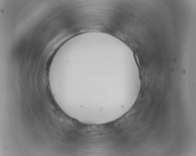 X0000077370338200611171954