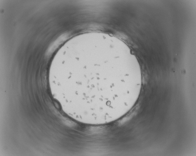 X0000077370341200611171954