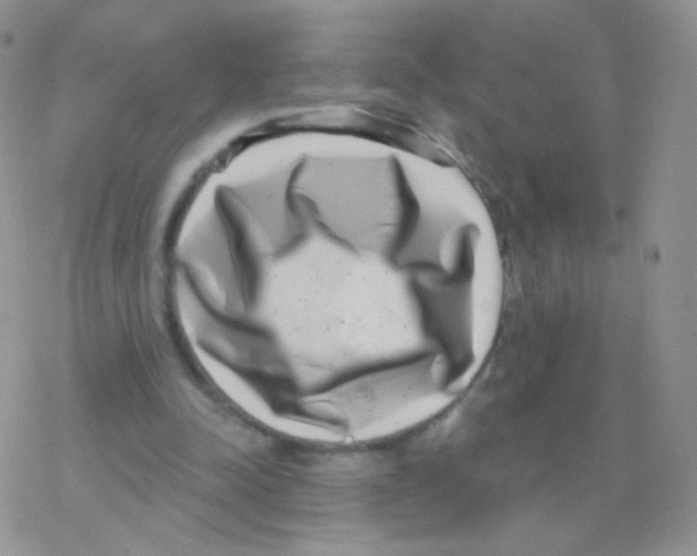 X0000077370342200611171954