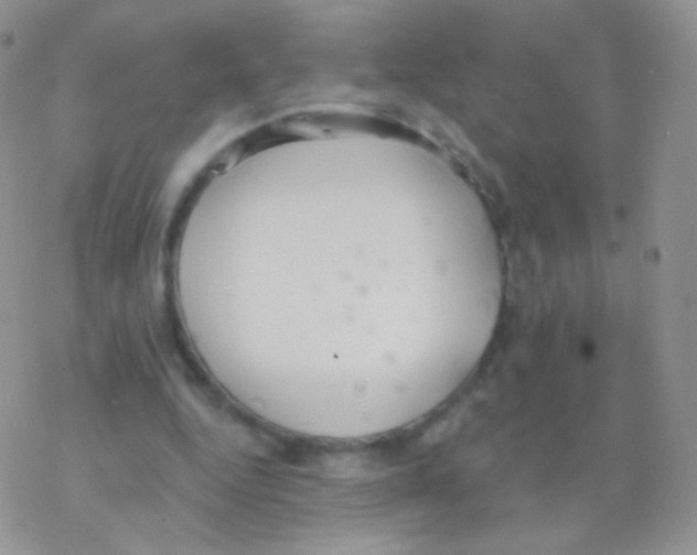 X0000077370344200611171954