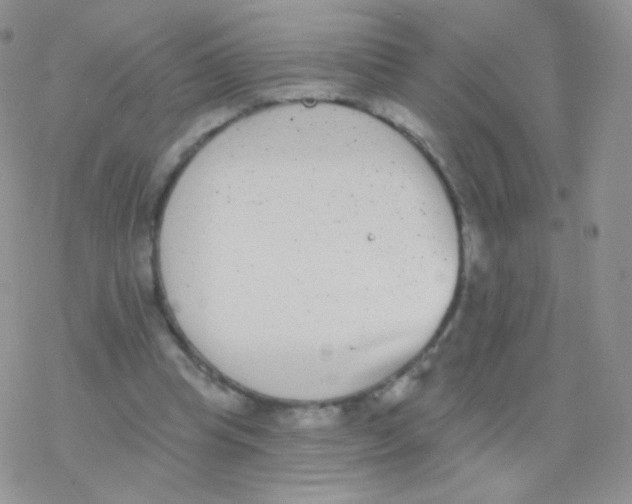 X0000077370345200611171954