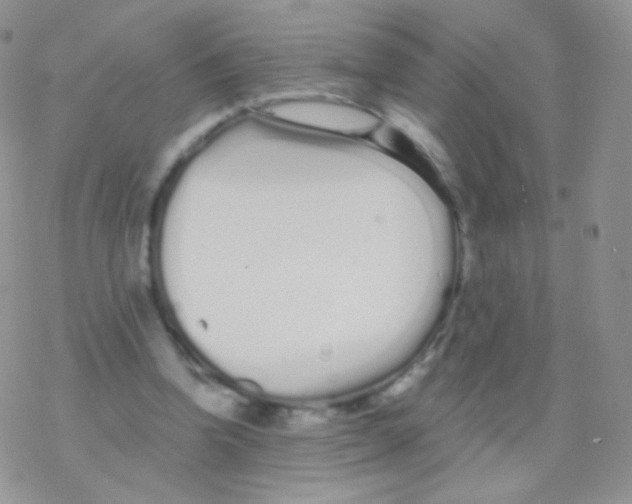 X0000077370346200611171954