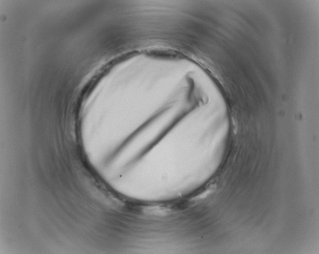 X0000077370347200611171954