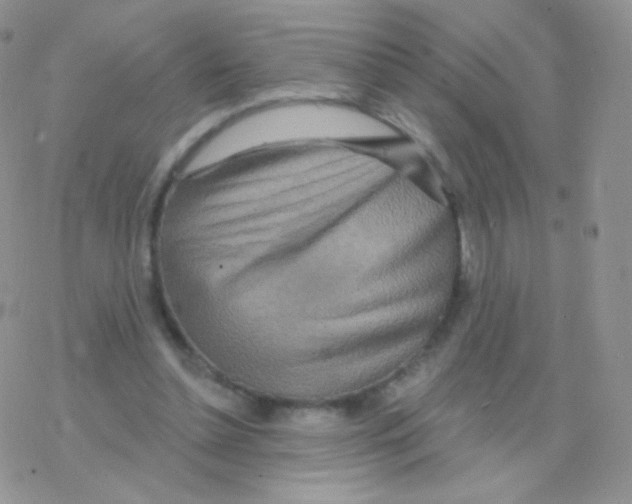 X0000077370348200611171954