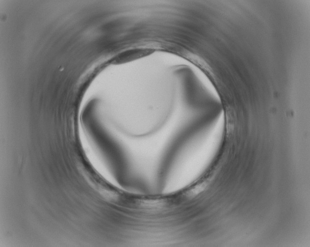 X0000077370349200611171954