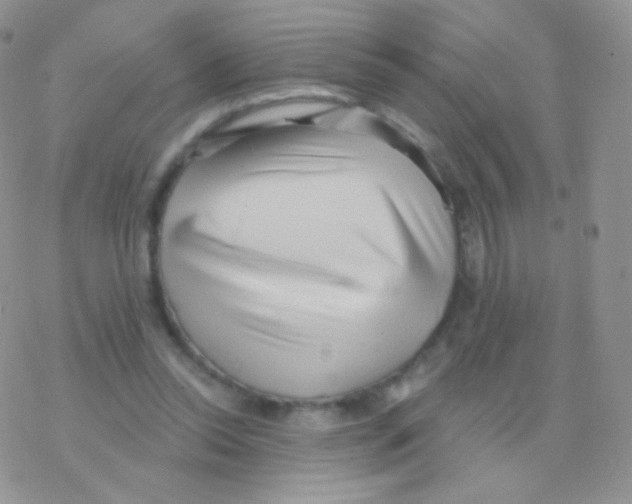 X0000077370350200611171954