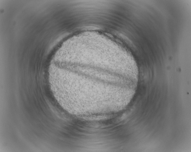 X0000077370351200611171954