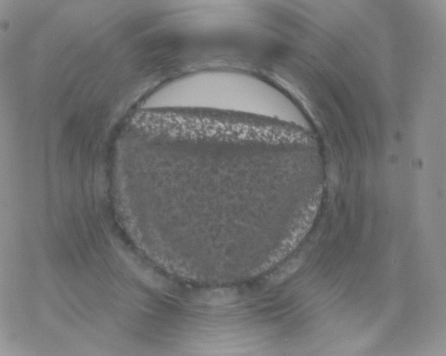 X0000077370353200611171954