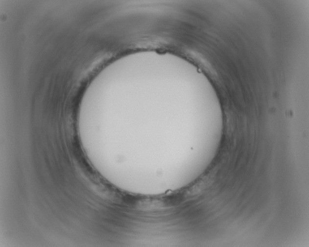 X0000077370354200611171954