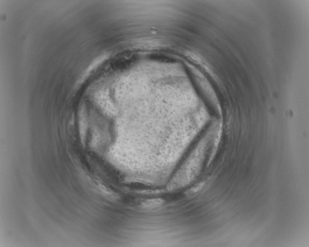 X0000077370355200611171955