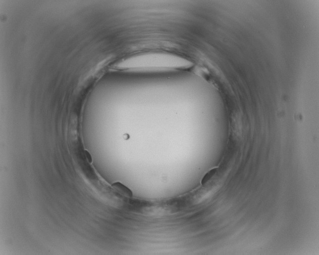 X0000077370356200611171955