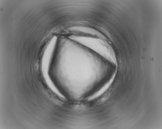 X0000077370357200611171955