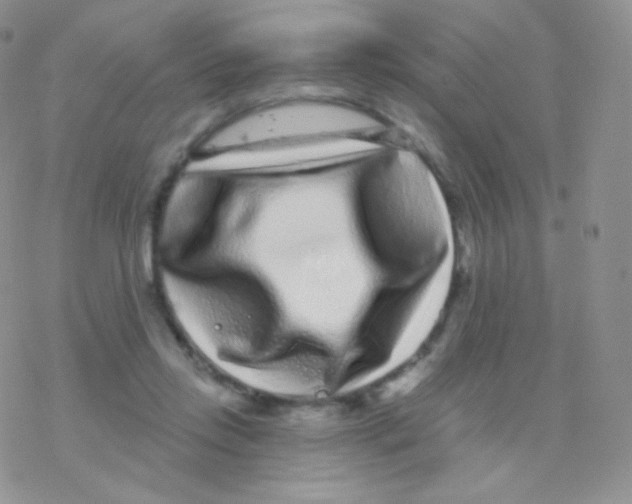 X0000077370358200611171955