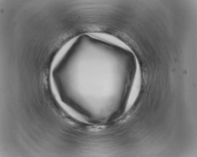 X0000077370359200611171955