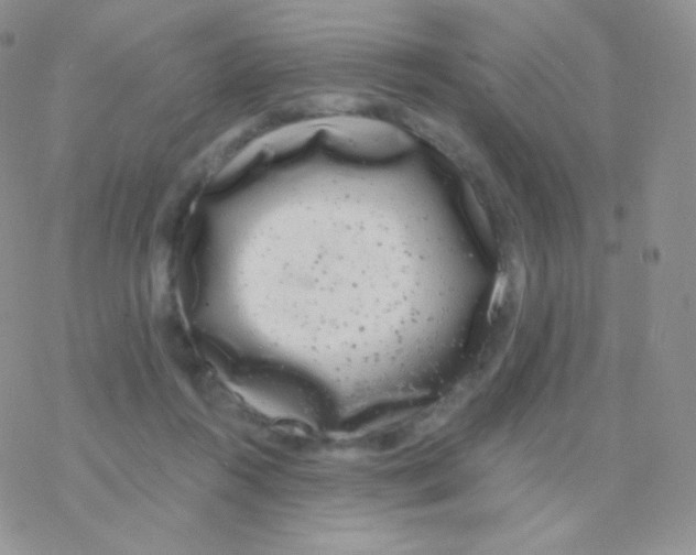 X0000077370360200611171955