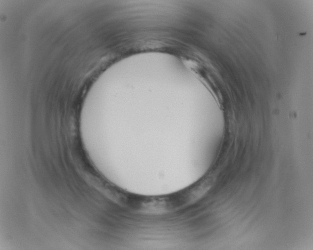 X0000077370362200611171955