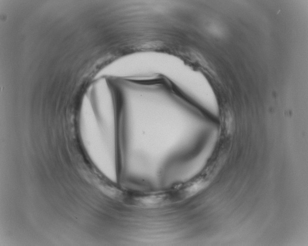 X0000077370366200611171955