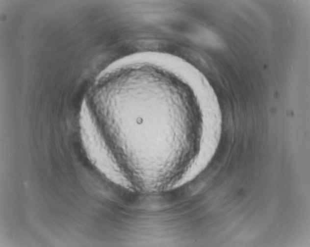 X0000077370367200611171955