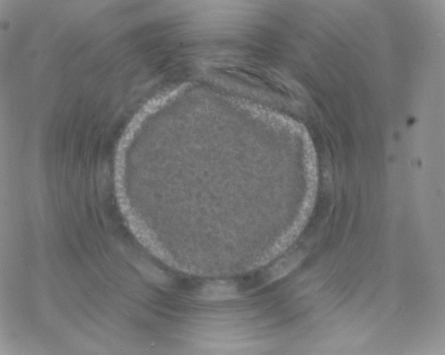 X0000077370369200611171955