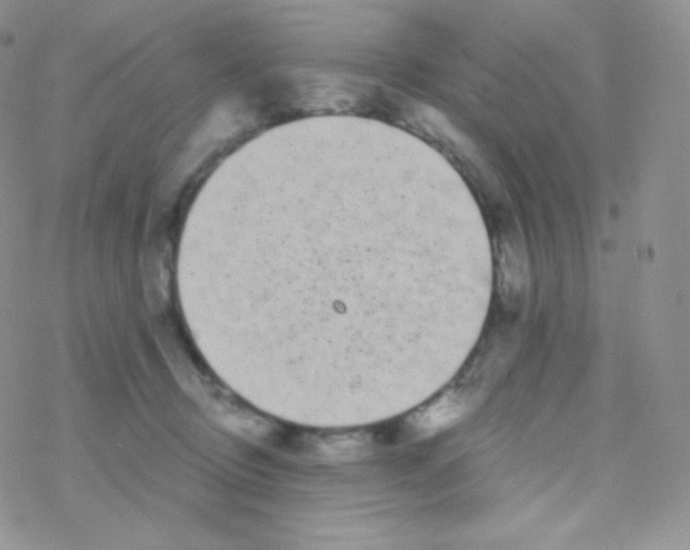 X0000077370370200611171955