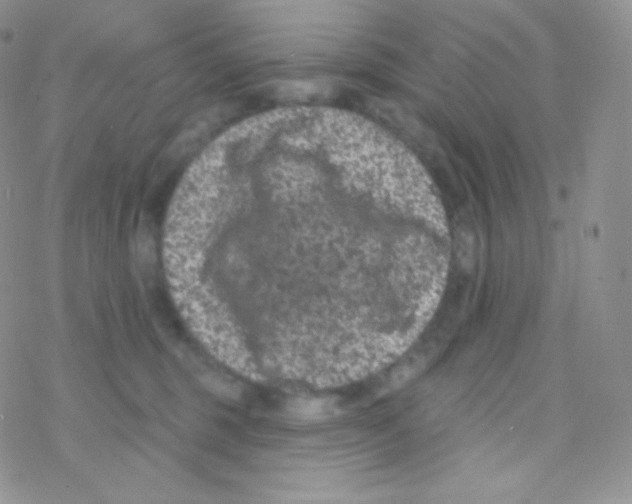 X0000077370375200611171955