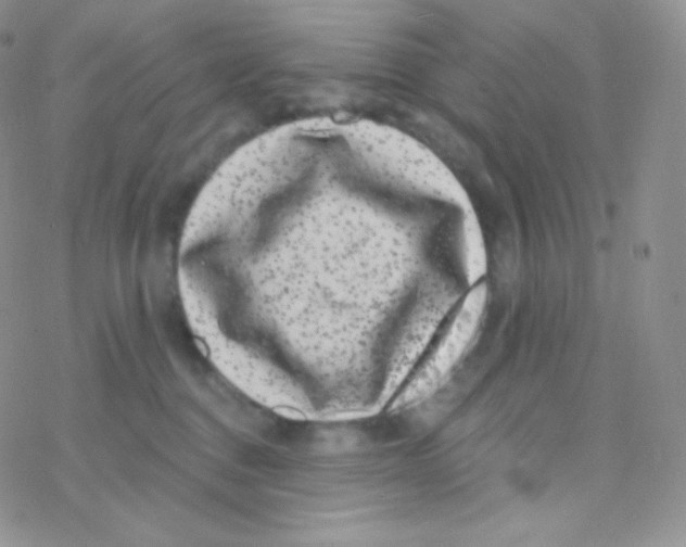 X0000077370376200611171955