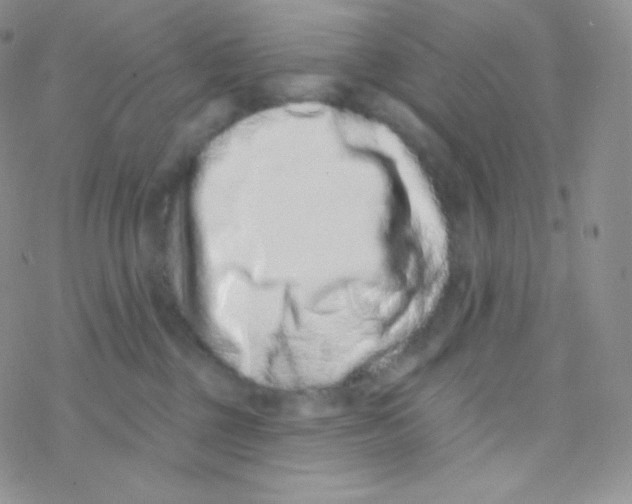 X0000077370377200611171955