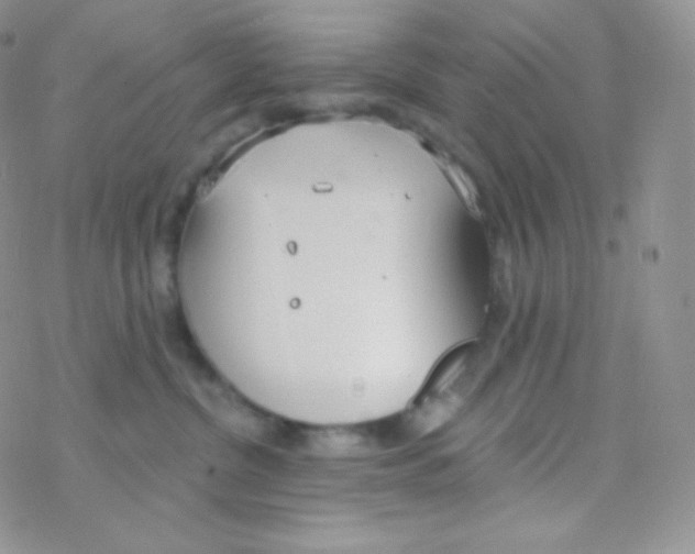 X0000077370380200611171955