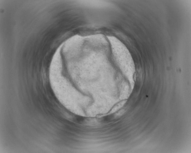 X0000077370381200611171955