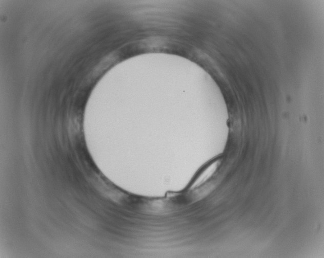 X0000077370382200611171955