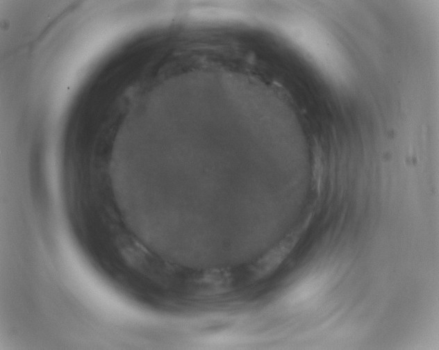 X0000077370383200611171955