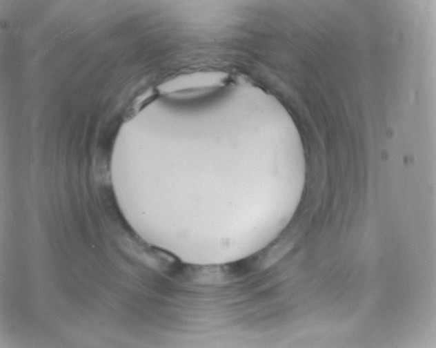 X0000077370384200611171955