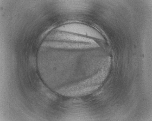 X0000077370386200611171954