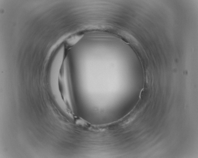 X0000077370388200611171954