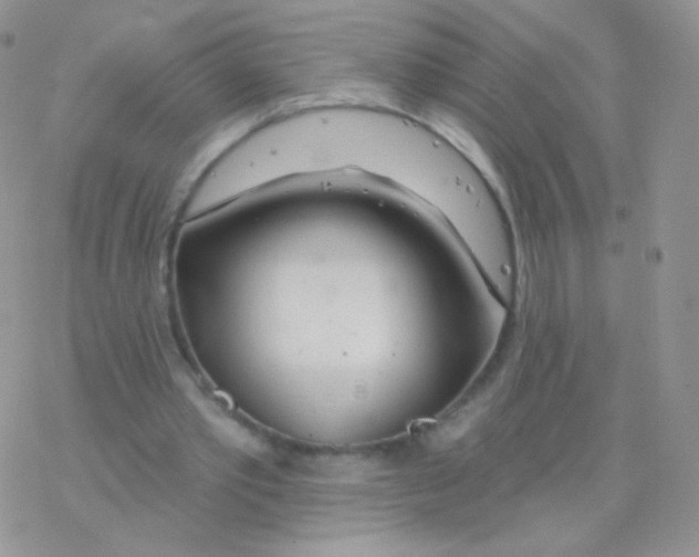 X0000077370389200611171954