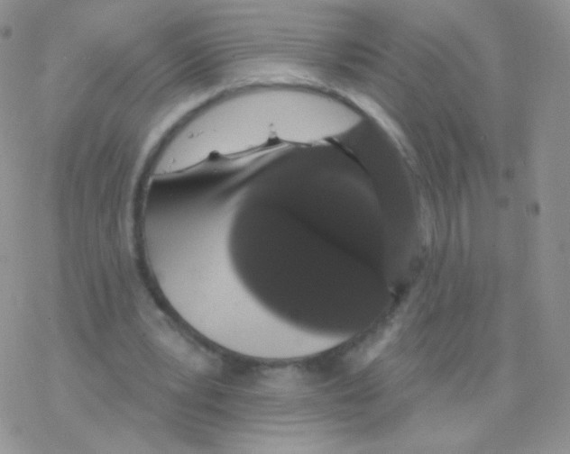 X0000077370391200611171954