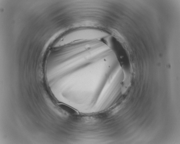 X0000077370392200611171954