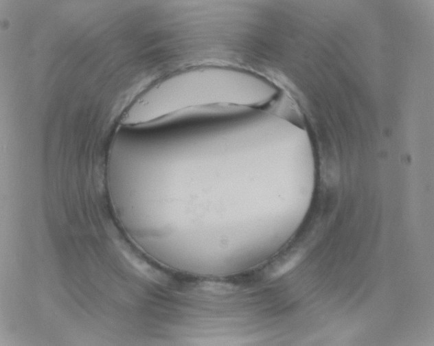 X0000077370393200611171954