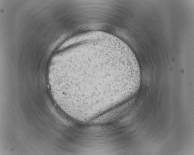 X0000077370394200611171954