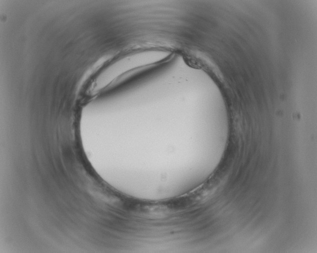 X0000077370395200611171954