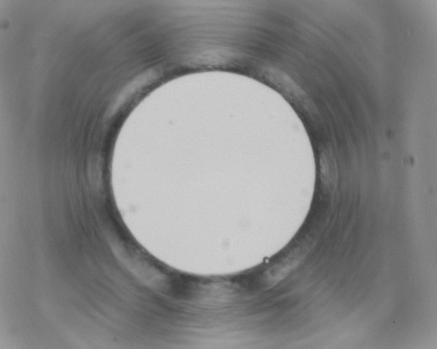 X0000077370396200611171954