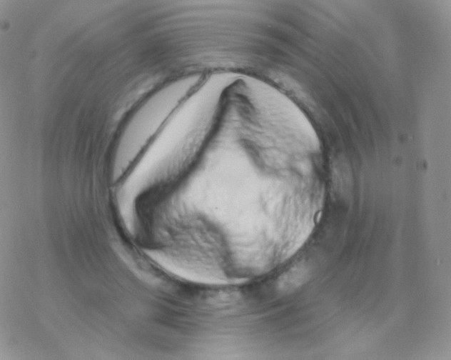 X0000077370398200611171954