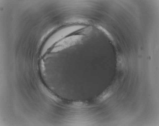 X0000077370399200611171954