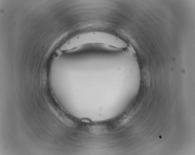 X0000077370400200611171954