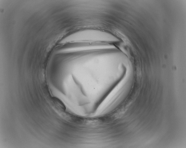 X0000077370401200611171954